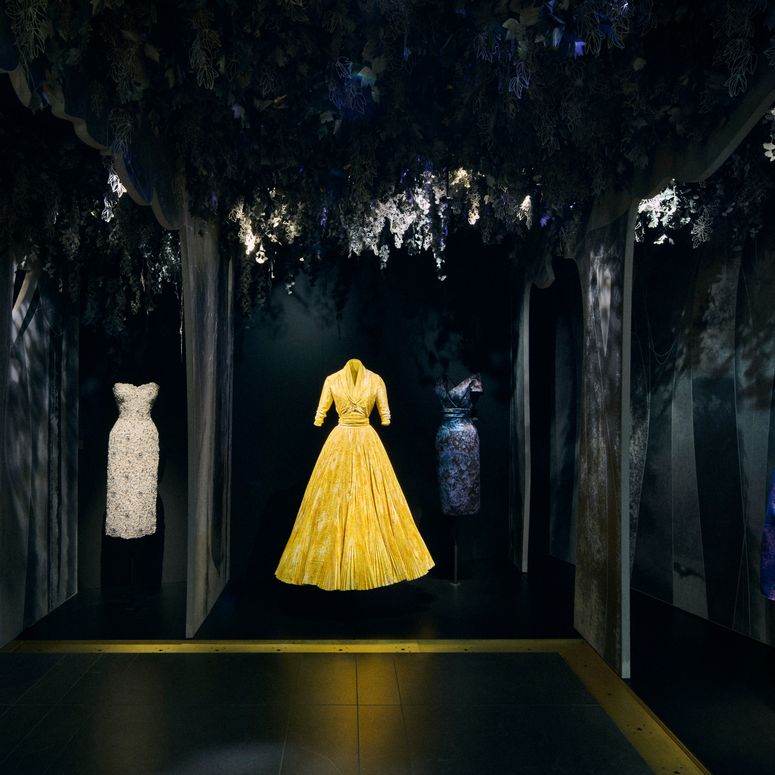 Image may contain: Clothing, Dress, Evening Dress, Formal Wear, Fashion, Gown, Adult, Person, Wedding, and Coat